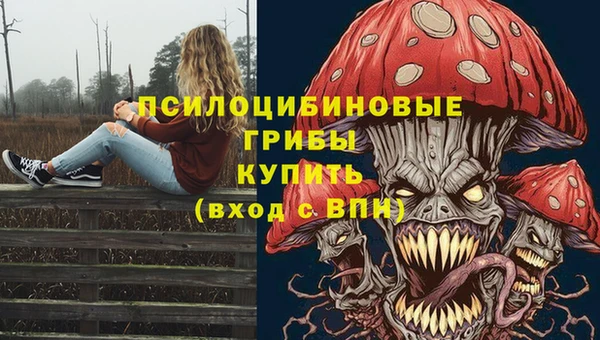 стафф Верея
