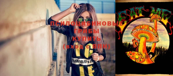 стафф Верея