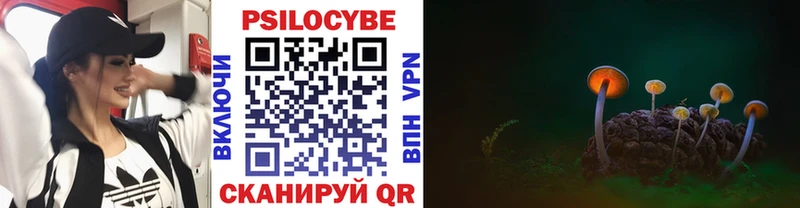 цены   Гдов  darknet как зайти  Галлюциногенные грибы ЛСД 